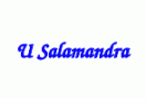 U Salamandra
